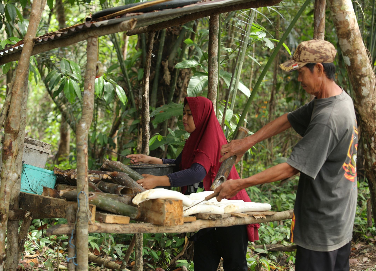 Conti nutzt Naturkautschuk aus einem Projekt im indonesischen West-Kalimantan.