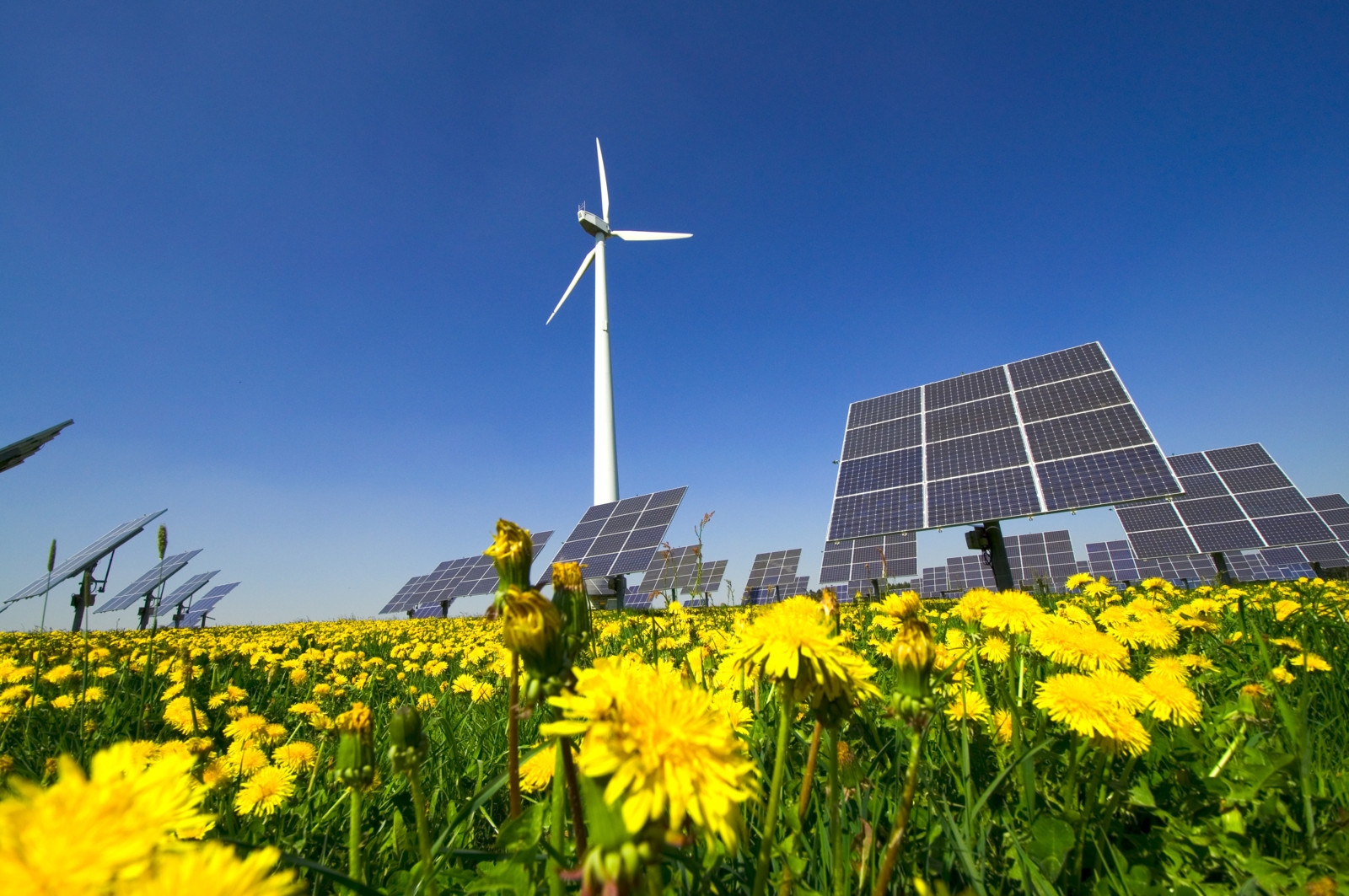Der Umstieg auf Strom aus erneuerbaren Energien im Jahr 2022 machte sich im Fiege-Nachhaltigkeitsbericht positiv bemerkbar.